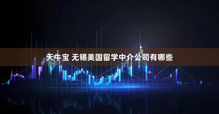 天牛宝 无锡美国留学中介公司有哪些